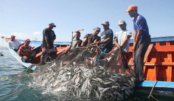 Cayeron los desembarques del sector pesquero en junio