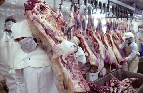 Crecieron en un 30% las exportaciones de carnes