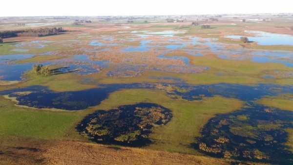 Crece el malestar en el campo por la suba del Inmobiliario rural