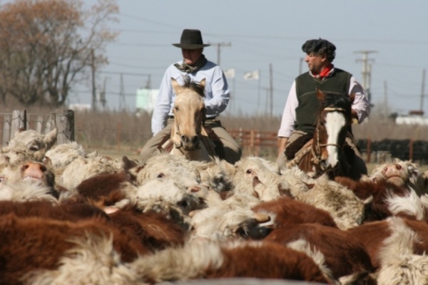 El campo y un pedido de racionalidad a Vidal