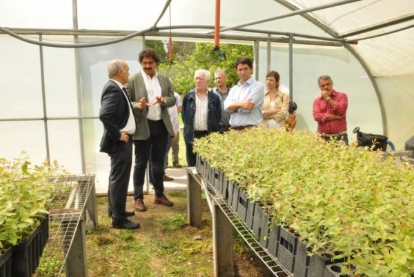 Ampliar Buscan duplicar la superficie forestada en la Provincia