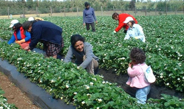 Da Internacional de las mujeres rurales