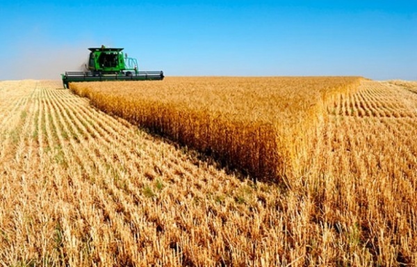 Ampliar Campo en alerta: el Estado se queda con el 56,9 por ciento de la renta agrícola