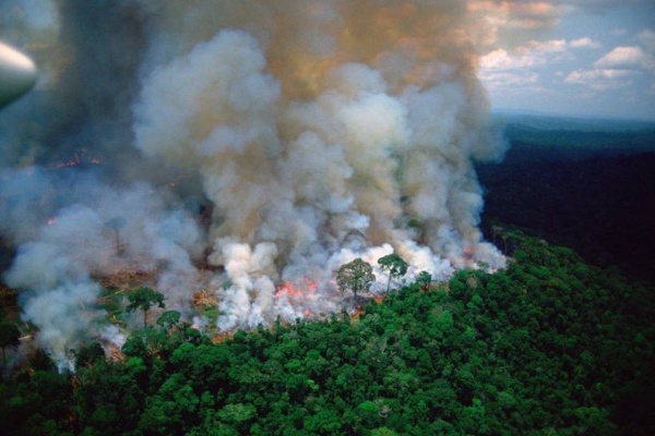 Ampliar Hace dos semanas que arde el Amazonas