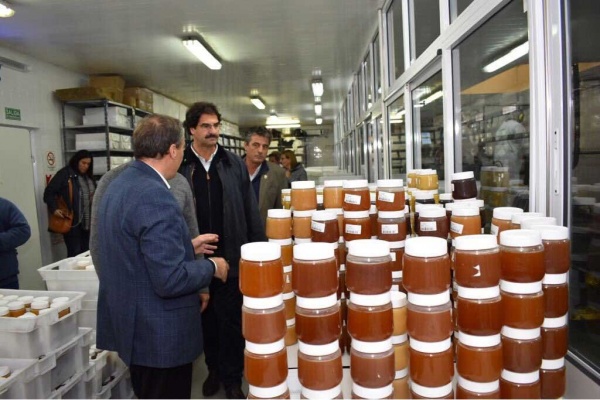 Ampliar Otorgan fondos para acondicionar salas de extracción de miel