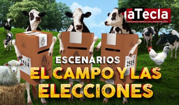 Ampliar Cómo se para el campo en el tablero electoral