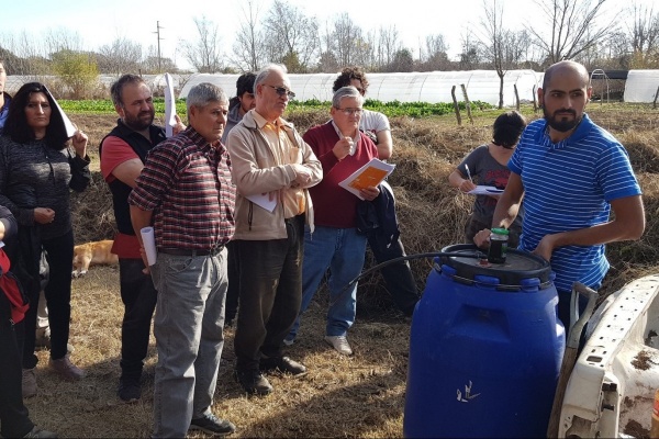 Ampliar Logran biofertilizante que mejora el suelo de campos deportivos