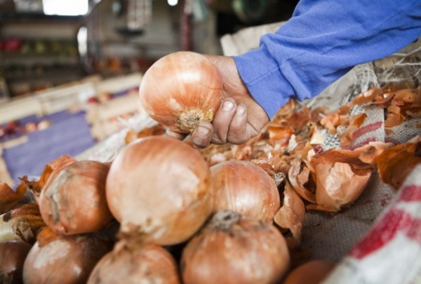 Qu cara est la cebolla!: alimentos esenciales aumentaron 326% en tres aos