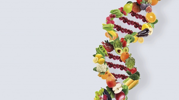 Una dieta a la medida de tus genes