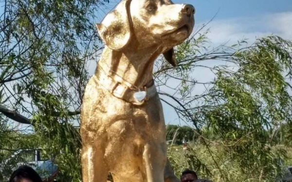 Rubio, el perro asesinado en Mar del Tuy, ya tiene su monumento