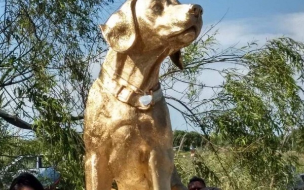 Ampliar Rubio, el perro asesinado en Mar del Tuyú, ya tiene su monumento