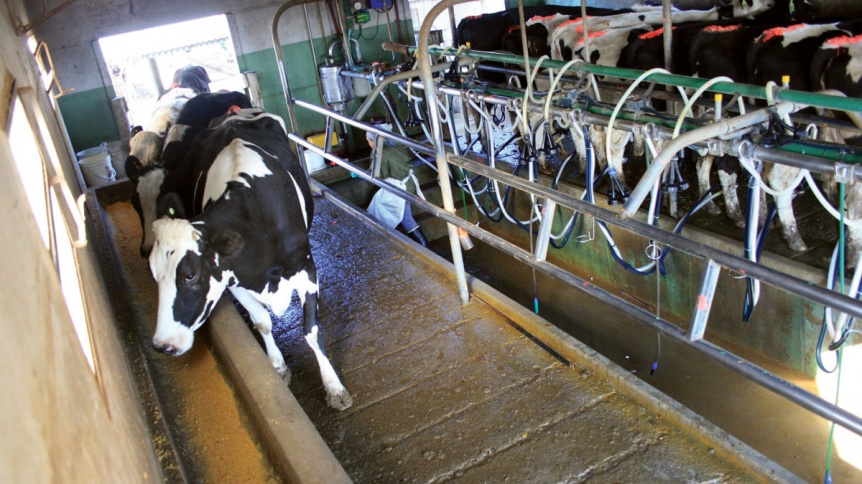 El ministro Rodrguez destac el crecimiento de la produccin lechera en Buenos Aires