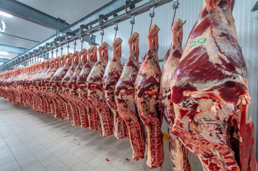 Tras la salida de Espaol, Dominguez ampli las exportaciones de carne vacuna a China
