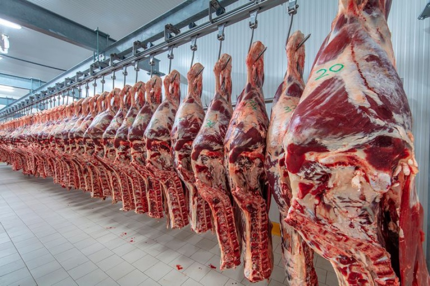 Ampliar Tras la salida de Español, Dominguez amplió las exportaciones de carne vacuna a China