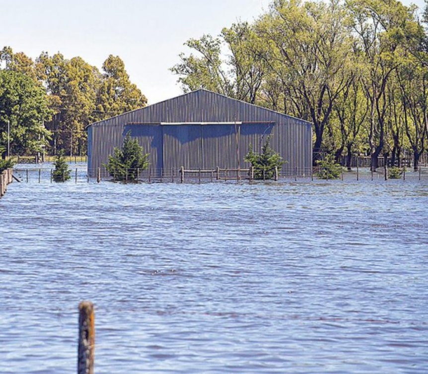 La Provincia sale al rescate de productores de dos distritos tras las inundaciones