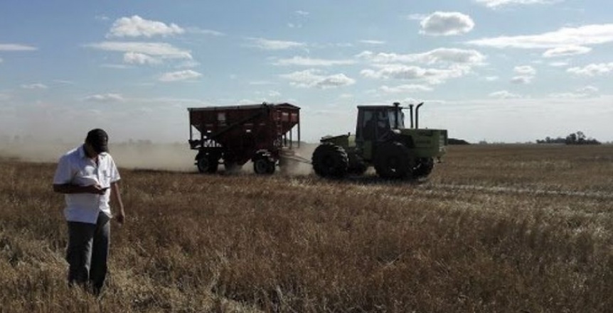 Incertidumbre, clima e inestabilidad econmica: los motivos del pesimismo agropecuario