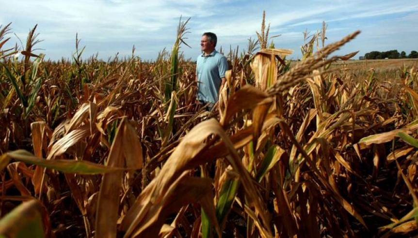 Retenciones, sequías y un dólar sin techo: “El productor bonaerense vive una crisis enorme”