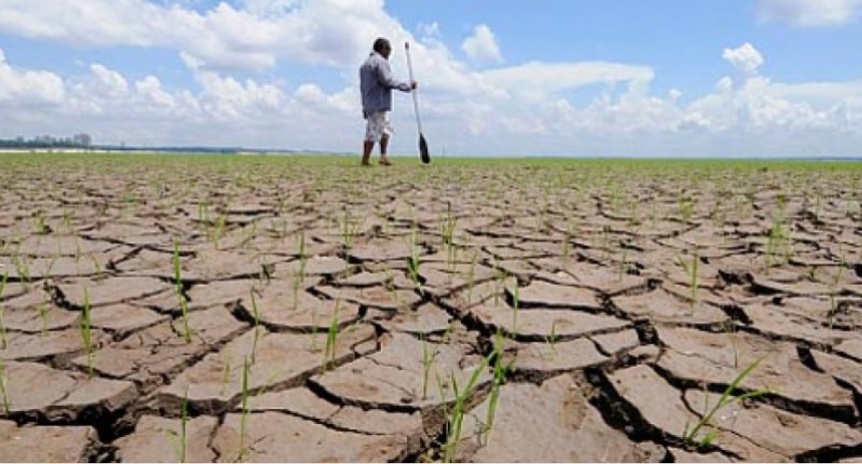 Ampliar Desde otro distrito de la Cuarta piden emergencia agropecuaria