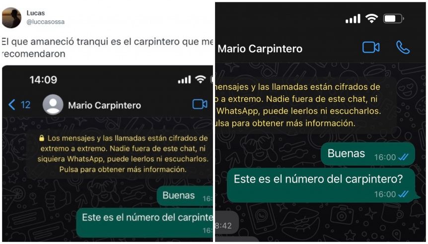 Ampliar Viral: contactó a un carpintero por Whatsapp y la respuesta que recibió hizo estallar a todos