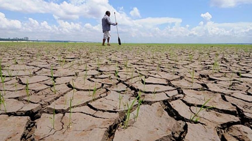 Sequía histórica: pérdidas y zonas afectadas