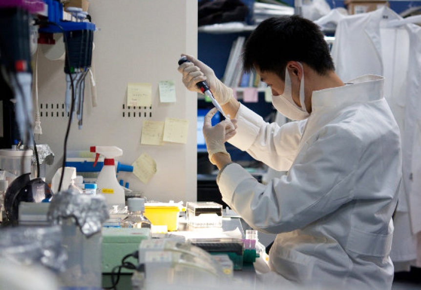 Ampliar Gran hallazgo científico japonés podría transformar las células cancerígenas