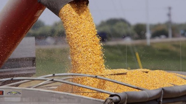 La venta de granos un 13% abajo respecto de 2015