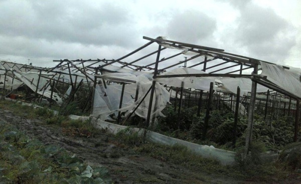 Piden la emergencia para cordn florifrutihortcola