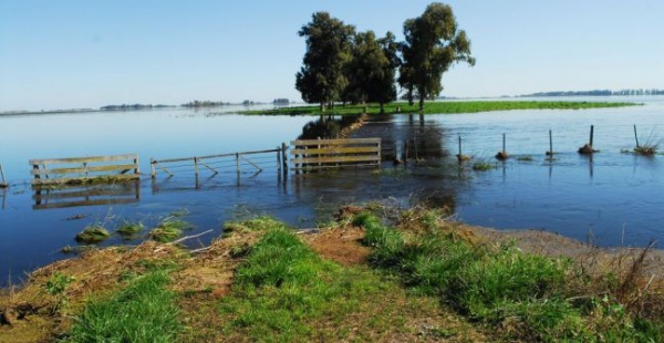 Provincia lanza ronda de consultas para definir nueva ley de Emergencia y Desastre Agropecuaria