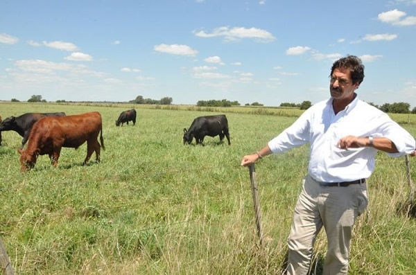 Ampliar Provincia lanza programa para impulsar la actividad ganadera
