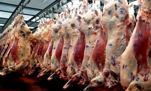 Se debatir en mercados bileterales la posibilidad de exportar carne