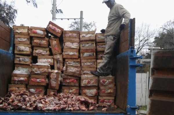 Decomisan en Marcos Paz 17.000 kilos de pollo fresco