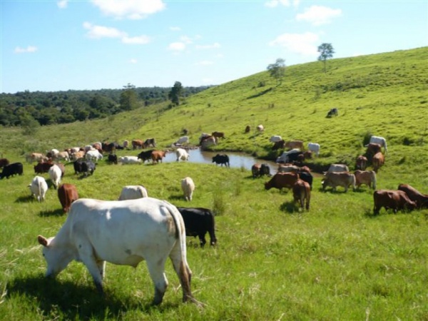 Productores bonaerenses presentan amparo por deudas de los 90