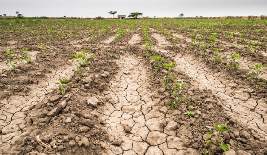 Ampliar Sequía: productores agropecuarios piden la condonación de deudas impositivas