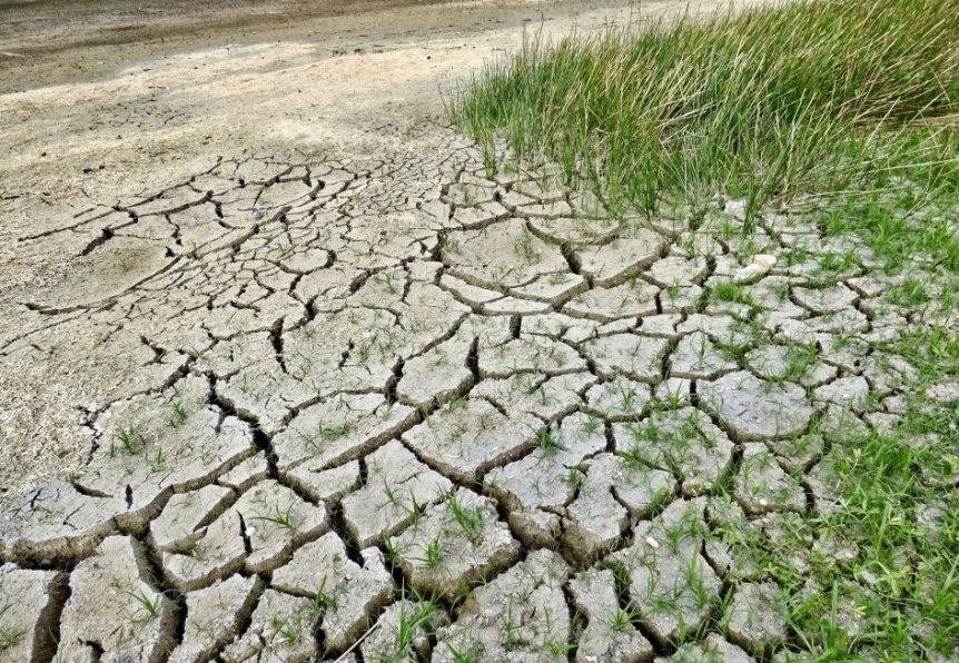 Ampliar Nación declaró y prorrogó la emergencia agropecuaria en 68 distritos bonaerenses