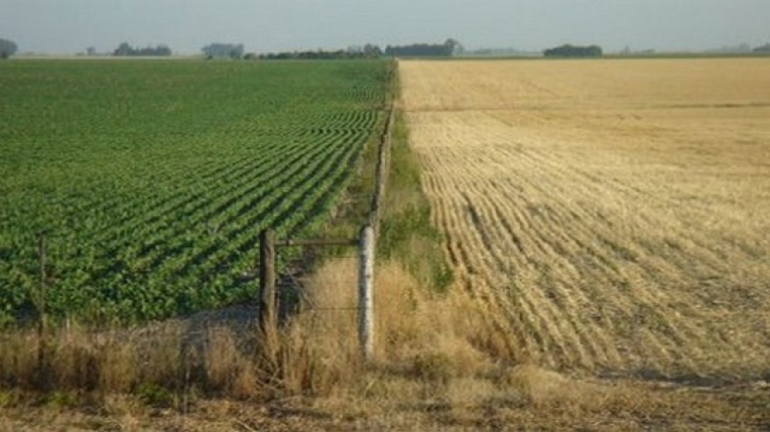 Ampliar El campo presiona por las pérdidas millonarias y la falta de reservas