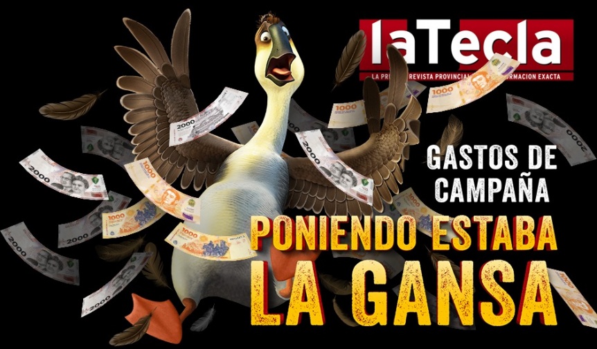 Ampliar Poniendo estaba la gansa: aportes y gastos