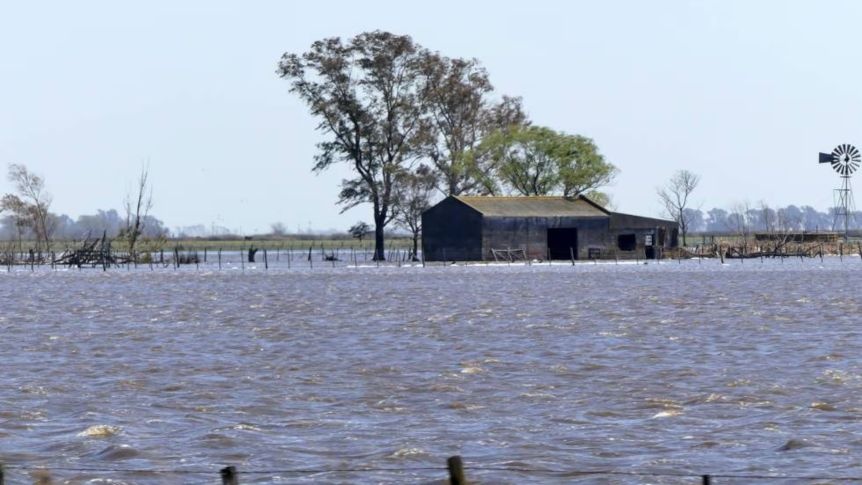 Ampliar Kicillof puso el gancho y se declara la emergencia agropecuaria en 12 distritos