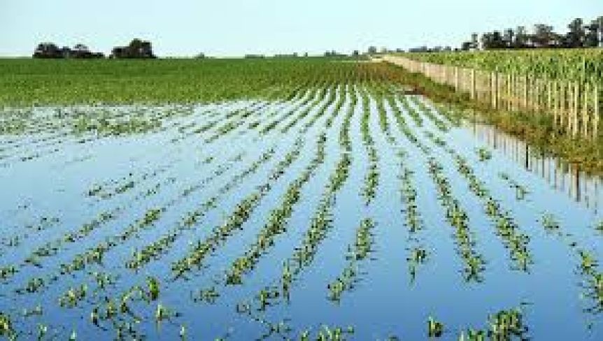 Ampliar El campo puso el grito en el cielo y pidió respuestas a Provincia por las inundaciones