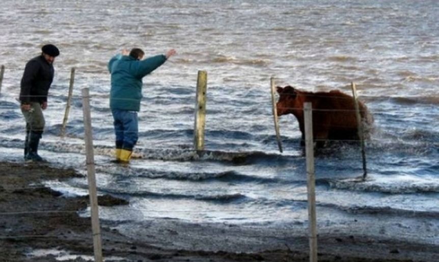 Ampliar Inundaciones sin control: más de 2 millones de hectáreas bajo agua en el interior bonaerense