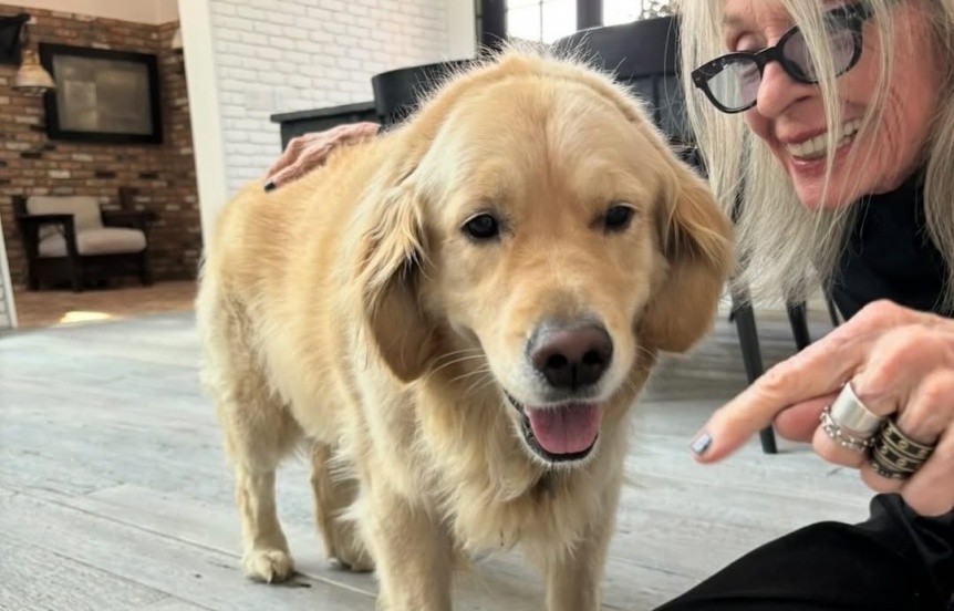 Ampliar Diane Keaton le habría dejado a su mascota un fideicomiso de 5 millones de dólares